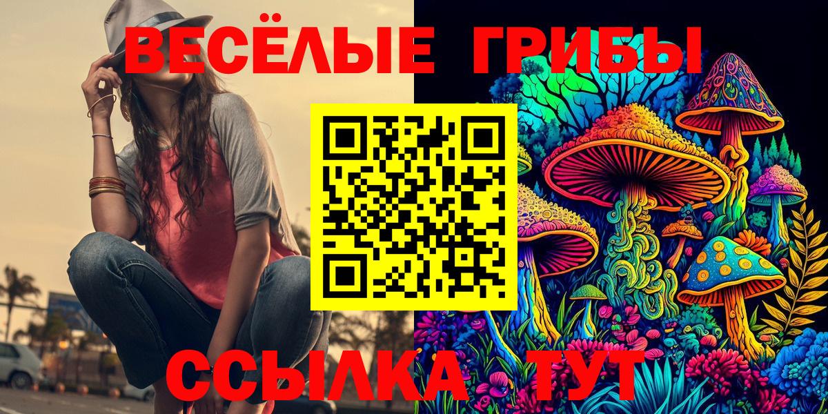 Галлюциногенные грибы Psilocybe Оренбург
