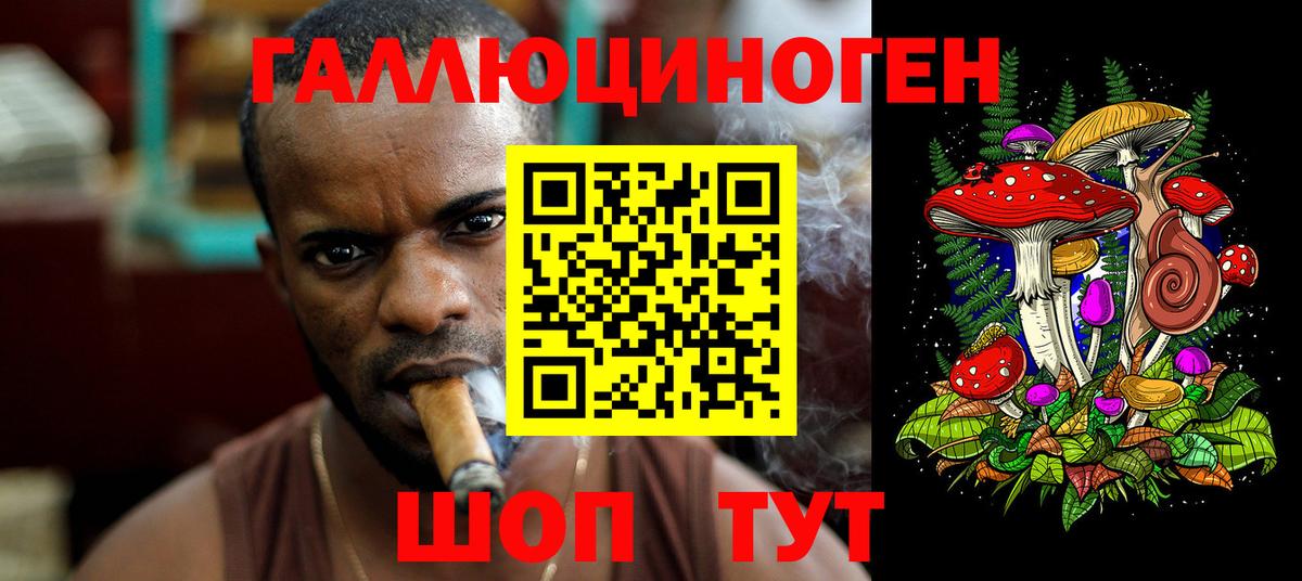 что такое   Вход с VPN  Оренбург  Галлюциногенные грибы мухоморы  Псилоцибиновые грибы MAGIC MUSHROOMS 